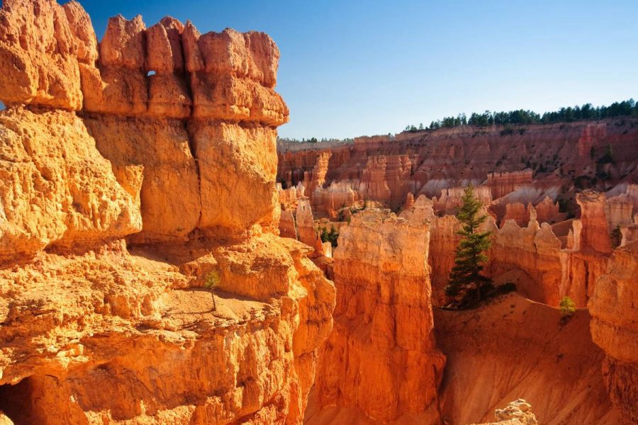 3-Day Loire Mer Extraordinaire