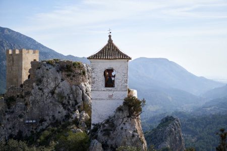 Tiptoe through the Tulips of Washington