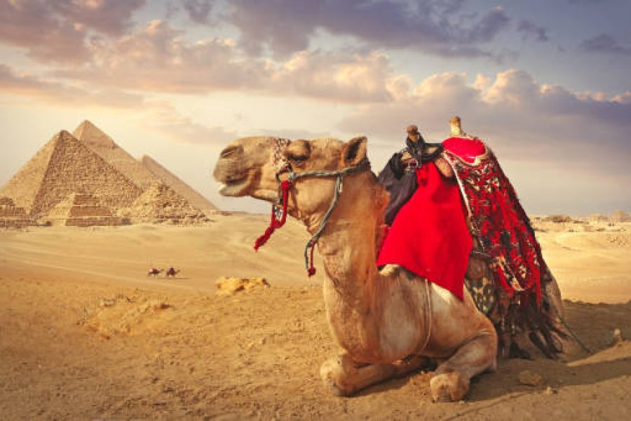 4 Days of Cairo Elegance & Exclusive Experiences